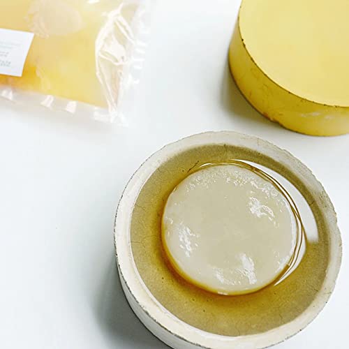 100% Organic SCOBY Kombucha Starter Kit - 100% Guaranteed to Brew - Fresh, Live Culture with Starter Liquid - The Kombucha Shop - size: 14 Ounce (Pack of 1)