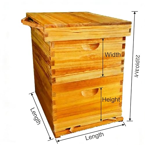 COZIWOW 2-Layer Beehive Wood Sections & Complete Hive Box, Natural Pine Beehive Kit with Frames, Sections of Wood for Beehives, Beekeeping Supplies for Langstroth Hives