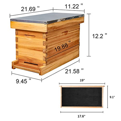 5-Frame Nuc Beehive Box for Beekeeping Complete Bee Hive Nuc Box Kit Dipped in 100% Beeswax Includes 5 Wooden Frames & Heavy Wax Coated Foundations