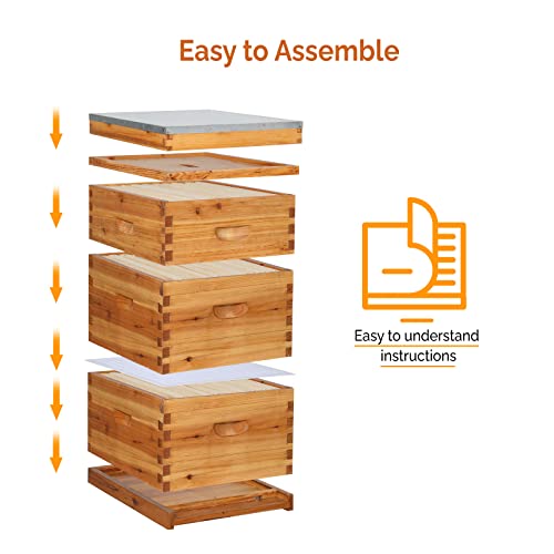 VINGLI 10-Frame Bee Hive, Wax Coated Beehive Starter Kit with Frames & Beeswax Coated Foundation Sheets (3 Layer) - style: 3 Layer