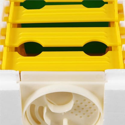 Nuc Box for Bees Multi-Grid Bee Feeding Box Portable Beekeeping Hive Easy Operation Bee Mating Box Pollination Kit Beekeeping Equipment Kit