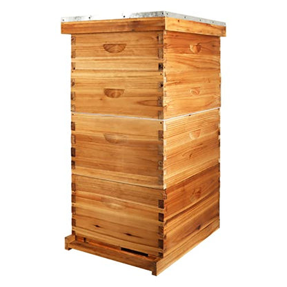 10-Frame Bee Hive Complete Beehive Kit Beeswax Coated Beehive Include Frames and Foundation Sheets for All Beekeeping Levels (2 Deep & 2 Medium Bee Boxes)