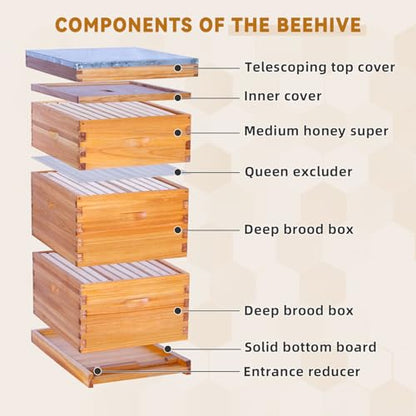 POLLIBEE 10 Frame Beehive, Beeswax Coated Bee Hives for Bee Keeper,Beehive Include 2 Deep Bee Boxes and 1 Medium Bee Hive Box with Frame and Foundation(Unassembled) - size: 3-Layer