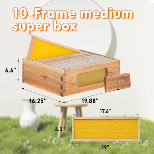 Honey Lake 10 Frame Beehive Medium Super Box with Window, Langstroth Bee Hive Box Kit Dipped in Beeswax Include Wooden Frames & Waxed Foundations, Bee Boxes for Beekeeping Supplement (Unassembled) - size: 10-Frame