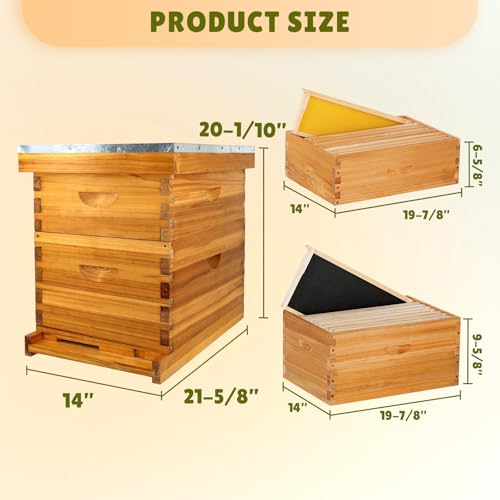 8 Frame Bee Hive Complete Beehive Kit Dipped in Beeswax Include Beehive Frames and Waxed Foundation Sheets for Beekeeping (1 Deep Brood & 1 Medium Super Bee Boxes) - size: 2 layer