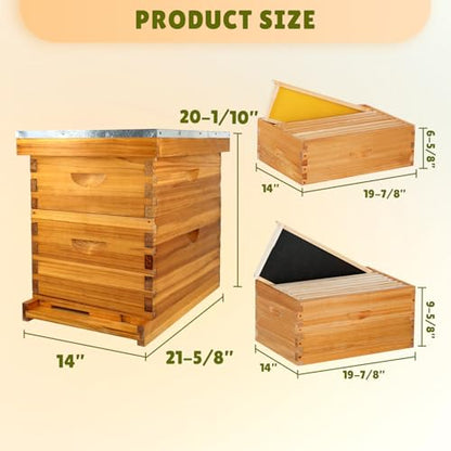 8 Frame Bee Hive Complete Beehive Kit Dipped in Beeswax Include Beehive Frames and Waxed Foundation Sheets for Beekeeping (1 Deep Brood & 1 Medium Super Bee Boxes) - size: 2 layer