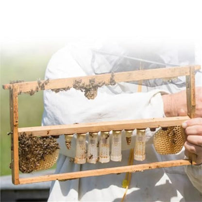 Queen Bee Cage 100Pcs Roller Cage Plastic Bee Queen Rearing for Safe Transport Breeding Inspection Honey Production for Beekeeping Supplies