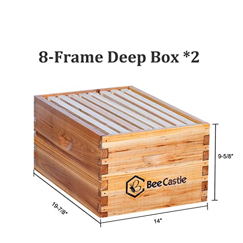 BeeCastle 8 Frame Langstroth Bee Hive Coated with Beeswax Includes Beehive Frames and Waxed Foundations (2 Deep Boxes & 1 Medium Box)