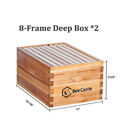 BeeCastle 8 Frame Langstroth Bee Hive Coated with Beeswax Includes Beehive Frames and Waxed Foundations (2 Deep Boxes & 1 Medium Box)