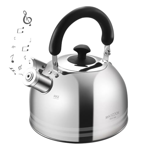 Whistling Tea Kettle for Stovetop, 5L Stainless Steel Tea pot Kettles,Striped frosted water pot, Large kettle teapot with Cool Touch Ergonomic Handle(Mirror Polish) - color: Silver Stripe, size: 5.3 Quarts