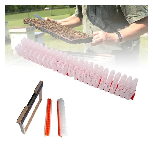 Queen Bee Cell Cage with Transport Box Bee Moving Isolator Protection Case Queen Rearing Bar Beekeeping Tools