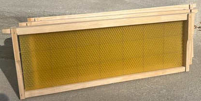 Swampland Bees - 20 Fully Assembled Wired Beeswax Foundation Mediums (6-1/4") Frames. High-Tensile Stainless-Steel Wire, Plastic-Free Commercial Grade. FBA - size: Medium 6-1/4" (Illinois)