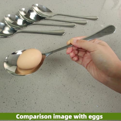 Large Serving Spoons,AOOSY 2 Pcs-9.8 Inches Stainless Steel Serving Spoon | for Buffet, Parties, Catering,Solid Serving Utensils Serving Utensil,Dishwasher Safe - color: 2Pcs-Silver Large Serving Spoons