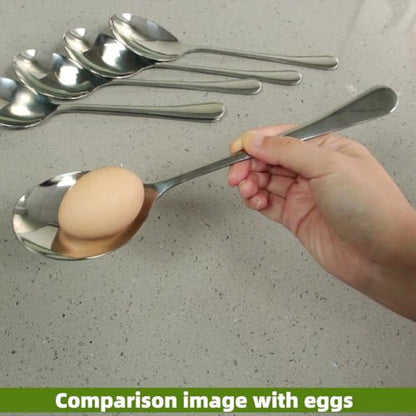 Large Serving Spoons,AOOSY 2 Pcs-9.8 Inches Stainless Steel Serving Spoon | for Buffet, Parties, Catering,Solid Serving Utensils Serving Utensil,Dishwasher Safe - color: 2Pcs-Silver Large Serving Spoons