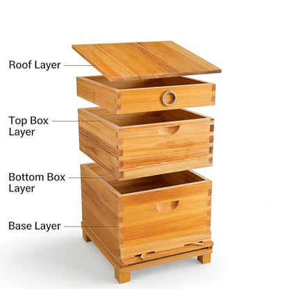 COZIWOW 2-Layer Beehive Wood Sections & Complete Hive Box, Natural Pine Beehive Kit with Frames, Sections of Wood for Beehives, Beekeeping Supplies for Langstroth Hives