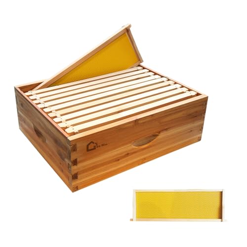 Durable Beeswax Coated Cedarwood Langstroth 10-Frame Medium Super Beehive Box Kit – Dovetail Joints, Frames & Wax Foundations, Waterproof, Easy Assembly for Beekeeping, Traditional Fir