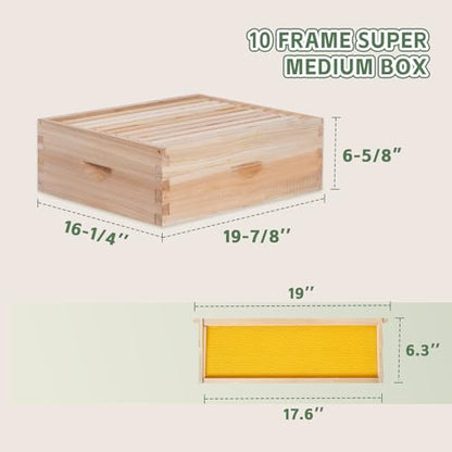 10 Frame Bee Hive, Compelte Bee Hive Starter Kit Includes 1 Deep Brood Honey Bee Hives Box, 1 Medium Super Bee Box with Beehive Frames and Foundation Sheets - size: 2-Layre