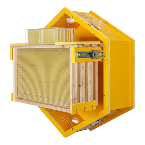 Observation Beehive Starter Kit with 3 Frames & 6 Honeycomb Trays, Wall-Mounted Hexagon Bee Hive with Acrylic Viewing Window, Medium Size for Indoor, Garden, or Educational Beekeeping