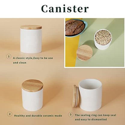 LEETOYI Ceramic Food Storage Jar with Seal Lid, Serving for Ground Coffee, Tea, Sugar, Salt and More - 31 Oz (White) - color: White