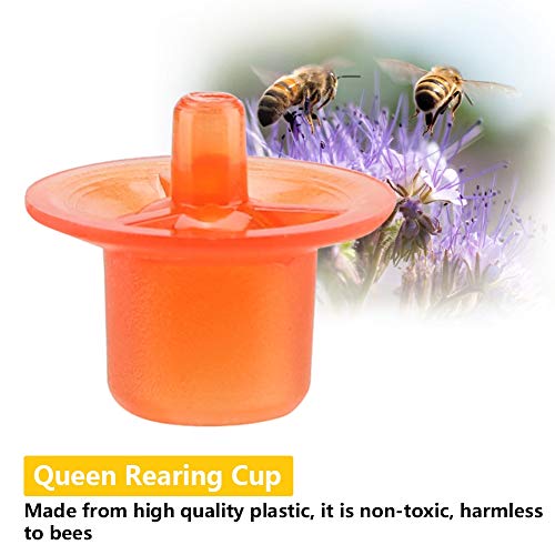 Fdit 50pcs Beekeeping Queen Rearing Cell Cups Beekeeper Equipment Tool Beekeeping Supply (Red)
