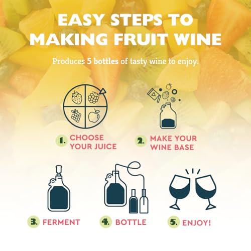 Craft A Brew - Juice Box - A Fruit Wine Making Kit - Easy for Beginners - At Home Wine Making Kit - Includes Ingredients & Reusable Equipment - Use Any Fruit Juice or Lemonade - Makes 1-Gal Batch - style: Juice Box Wine Making Kit