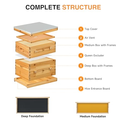 CREWORKS 20 Frame Bee Hive, Beeswax Coated Beehive Kit with Medium & Deep Boxes, Langstroth Bee Hive Boxes Starter Kit, Bees Hives Box with Transparent Acrylic Window - style: 2 Layers