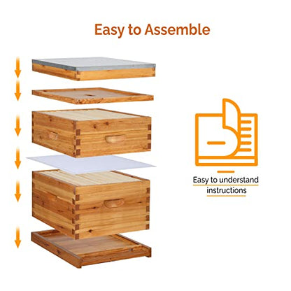 VINGLI 10 Frame Langstroth Beehive Starter Kit, Beeswax Coated 2 Layer Complete Bee Hive, 1 Deep Brood Box & 1 Medium Super Box with Frames and Waxed Foundations for Beekeepers - style: 2 Layer