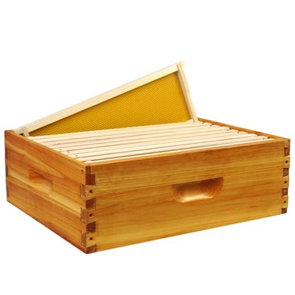 10 Frame Langstroth Medium Super Box Dipped in Beeswax, Bee Hive Box Sections of Wood for Beehives Include Beehive Frames and Wax Foundations(Yellow Unassembled) - size: Medium 10pack