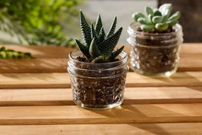 Ball Wide Mouth Quilted Crystal Jelly Jars with Lids and Bands, Used for Canning, Pickling, Juice, Jam, Jelly, Quarter Pint Size (4 Ounce (Pack of 4)) - size: 4 Ounce (Pack of 4)