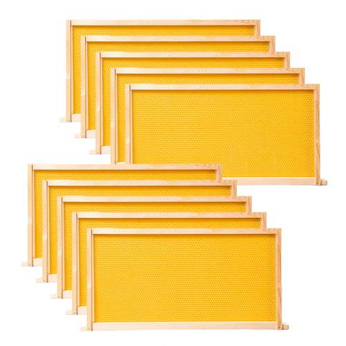POLLIBEE 10 Pack Beehive Frames with Wax Dipped Plastic Foundations, Deep Brood Box Bee Frames 9-1/8 Inch for Beekeeping (Yellow) - size: Deep Yellow