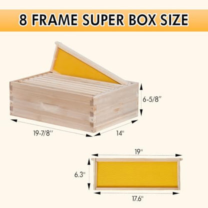 POLLIBEE 8 Frame Super Bee Hive Box, Langstoth Honey Super Bee Box for Beekeeper,Include Beehive Frames and Wax Foundations (unassembled)
