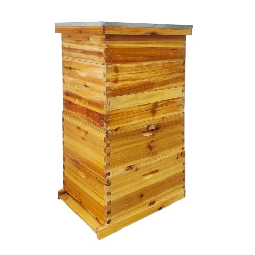 5-Layer Langstroth Beehive Kit, Beeswax Coated Wood Bee Hive with 2 Deep Breeding Boxes and 3 Medium Super Boxes, 10-Frame Standard Wooden Bee House with Waterproof Metal Top, No Frames