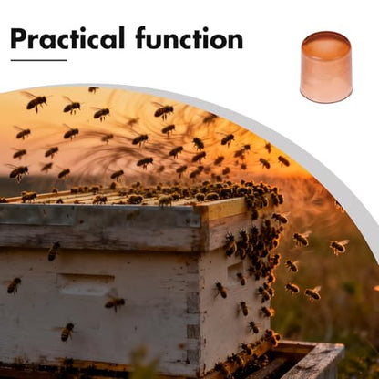 GALPADA 2000pcs Queen Rearing Cups and Mini Hive Plastic Incubator Set for Beekeeping Cell Cultivation with Bee Queen Grafting Tools, 0.4 Inch Breeding Kit for Apiary Management