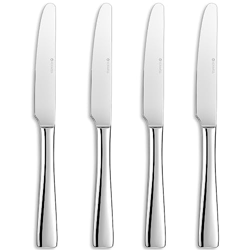 KEAWELL Premium 9.5" Louis Dinner Knives, Set of 4, Stainless Steel Dishwasher Safe, Serrated Knives (Plain) - style: Plain