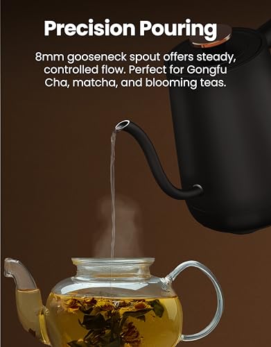 Viante Electric Gooseneck Kettle 0.8L, Pour Over Coffee & Tea, Temp Control | Boil-dry protection, keep-warm function, BPA-free stainless steel body. Includes #2 coffee filters - style: Gooseneck