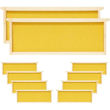 10 Pack Bee Frames Medium Unassembled, Wooden Beehive Frames with Plastic Beeswax Coated Foundations for Medium Super Box (Yellow) - color: Yellow