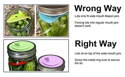 7pack Maintenance airlock waterless fermentation lids for wide mouth mason jars. Make Sauerkraut, Kimchi, Pickles, any fermented vegetable probiotic foods. BPA, mold free, dishwasher safe.