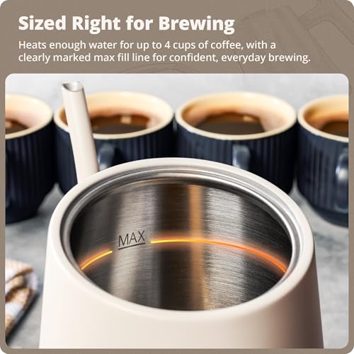 Greater Goods Electric Gooseneck Kettle, 1200W Stainless Steel with Precision Temperature Control, Fast Boil, BPA-Free, Ideal for Pour Over Coffee and Tea, 0.8L (Birch) - color: Birch