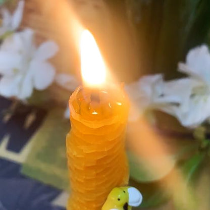 Lacaser Beeswax Candle Making Kit, 10pcs 8"x 8" 100% Beeswax Sheets for Candle Making -Include Bee Ornaments, Lace, Cotton Wicks & Hemp Rope, DIY Candles Making Supplies - color: Natural (8x8)