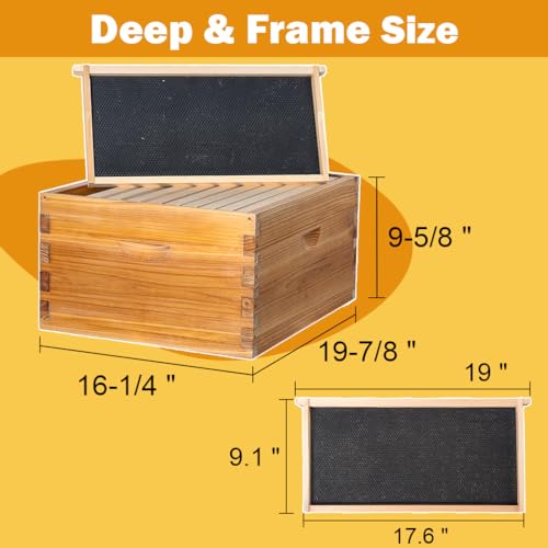 10 Frame Langstroth Beehive Kit Dipped in Heavy Beeswax Bee Hives with 1 Deep Bee Box and 1 Medium Bee Hive Box with Frame and Foundation(Unassembled) - size: 2 Layer