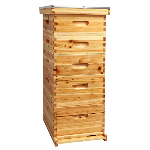 Coated Bee Hive Starter Kit, 5-Layer Langstroth Beehive & 2 Deep and 3 Medium Super Boxes, Premium 10-Frame Wood Honey Bee House with Waterproof Metal Top Cover & Queen Excluder, No Frames