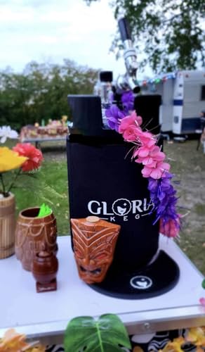 Gloria 10L (2.6 Gal) Mini Keg, Pressurized Keg for Drinks, with Tap System, Co2 Regulated, Stainless Steel - size: 10L