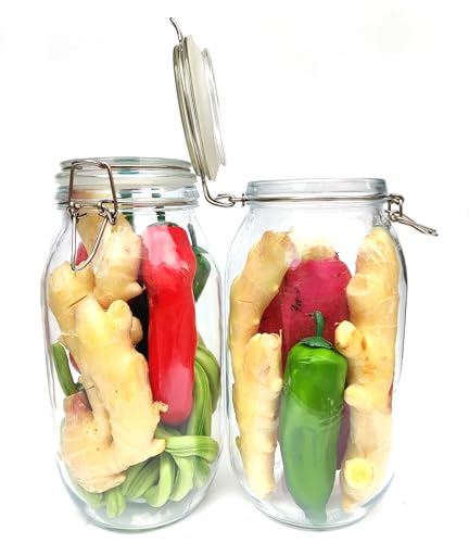 2L Fermentation Jar 2 Pack Fermentation kit with Fermenting Weights and Airlocks Pickle Jar for Fermenting,Pickling,Canning,Mead Making (2 Liter)