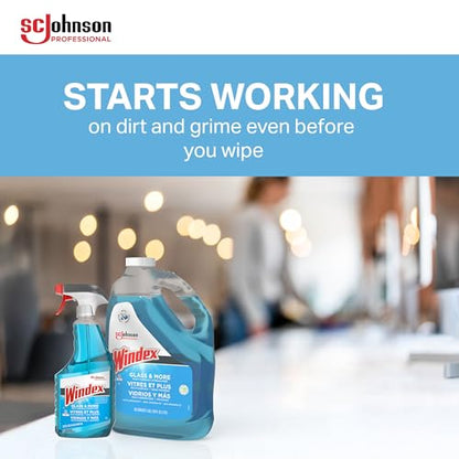 SC Johnson Professional Windex Glass and More Multi-Surface Cleaner, Windex Glass Cleaner Refill, Multi Surface Cleaner, 128 fl. oz. Bottles, 4 Count, for Professional Use Only - size: 128 Fl Oz (Pack of 4)
