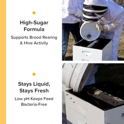 Mann Lake Pro-Sweet Liquid Feed, Natural Supplemental Feed for Bees, Ready-to-Use Nectar Alternative, Formula for Optimal Nutrition & Hive Weight, 5 Gallon Pail, Made in USA - size: 640 Fl Oz (Pack of 1)