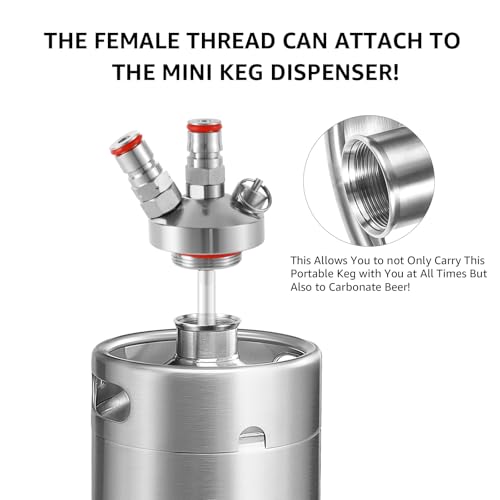 Mini Keg Growler, 128OZ Stainless Steel Mini Keg, Portable Mini Kegerator Beer Keg Growler with Beer Hose & Seal knob Cover, Pressurized Growler Mini Beer Growler for Homebrew Party Picnic - color: Silvey