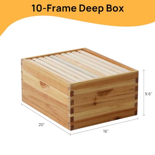 10-Frame Langstroth Bee Hive Coated with 100% Beeswax Includes Beehive Frames and Foundations (1 Deep Box) - size: 1 Brood Box