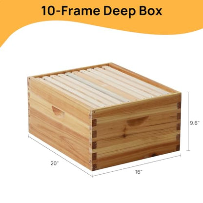 Bee Hive Box with Observation Window, 10 Frame Beeswax Coated Bee Hive Starter Kit for Beginners Beekeepers (1 Deep Box & 1 Medium Boxes) - size: 2 Layer