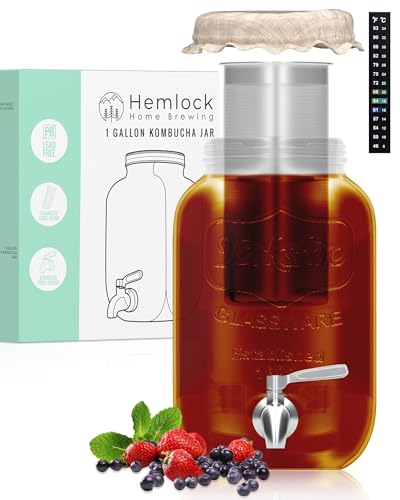 1 Gallon Kombucha Jar Starter Kit with Spigot, Continuous Kombucha Brewing Jar Kit, Glass Kombucha Starter Kit with Stainless Steel Mesh Filter (1GKJ)