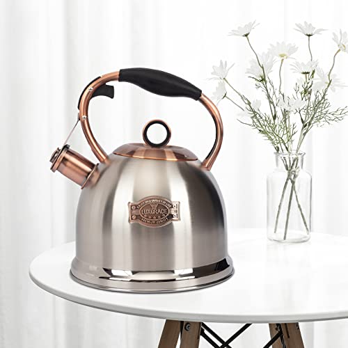 Whistling Stovetop Tea Kettle Food Grade Stainless Steel, Hot Water Fast to Boil for Stove Top-3.0Q - color: Silver-RW